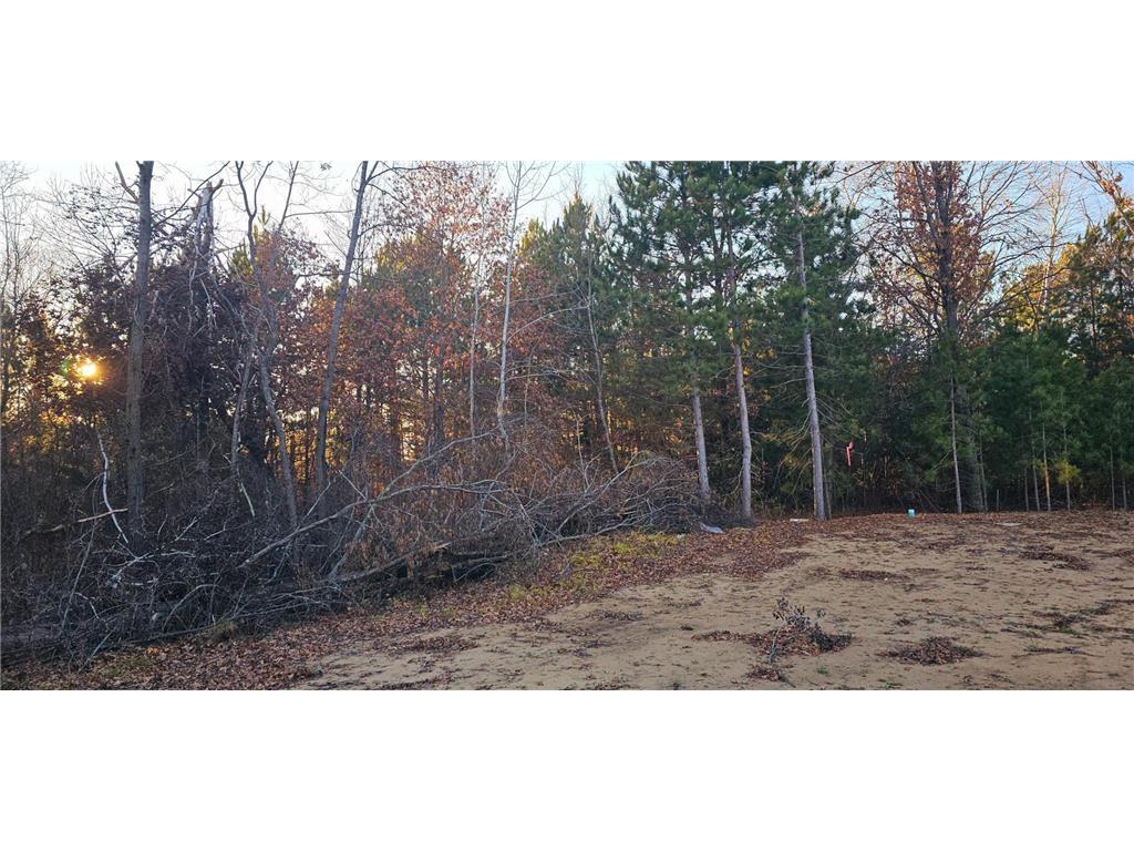 27532 Dahlia Street NW Isanti MN 55040 7045575 image46