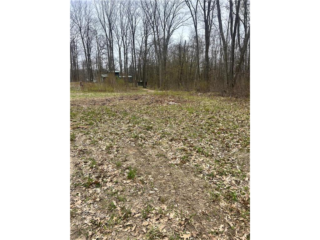 27536 Norway Trail Cushing Twp MN 56475 7017484 image2