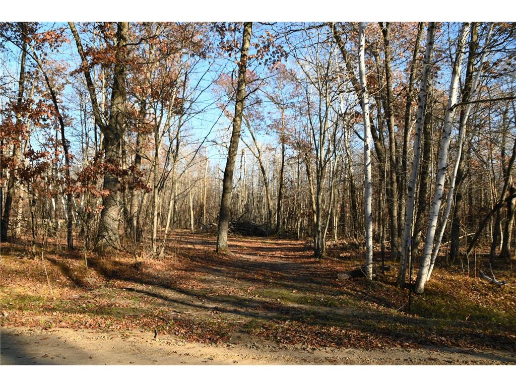 27537 Ode Circle Browerville MN 56438 - Pine Island 7034503 image1