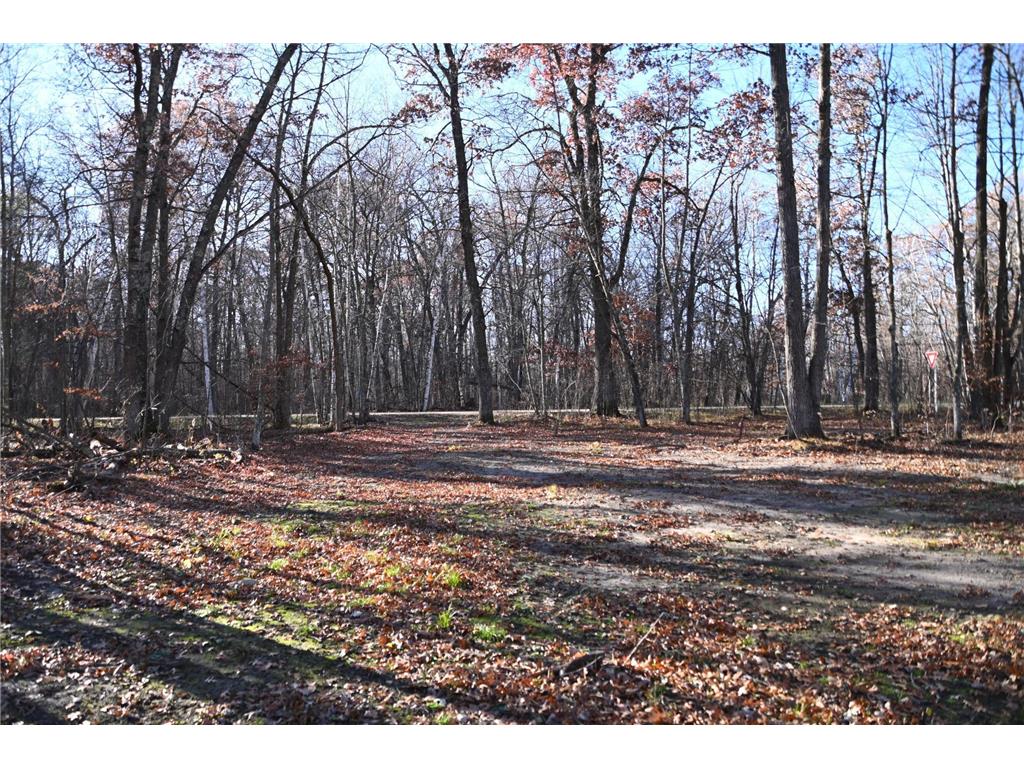 27537 Ode Circle Browerville MN 56438 - Pine Island 7034503 image2