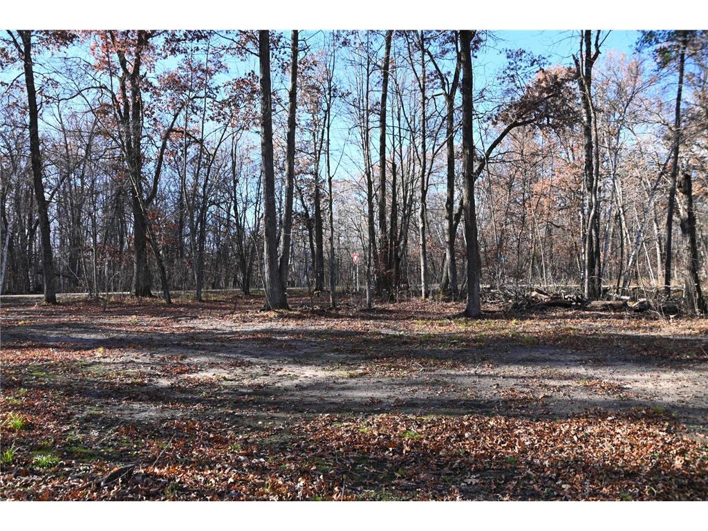 27537 Ode Circle Browerville MN 56438 - Pine Island 7034503 image3
