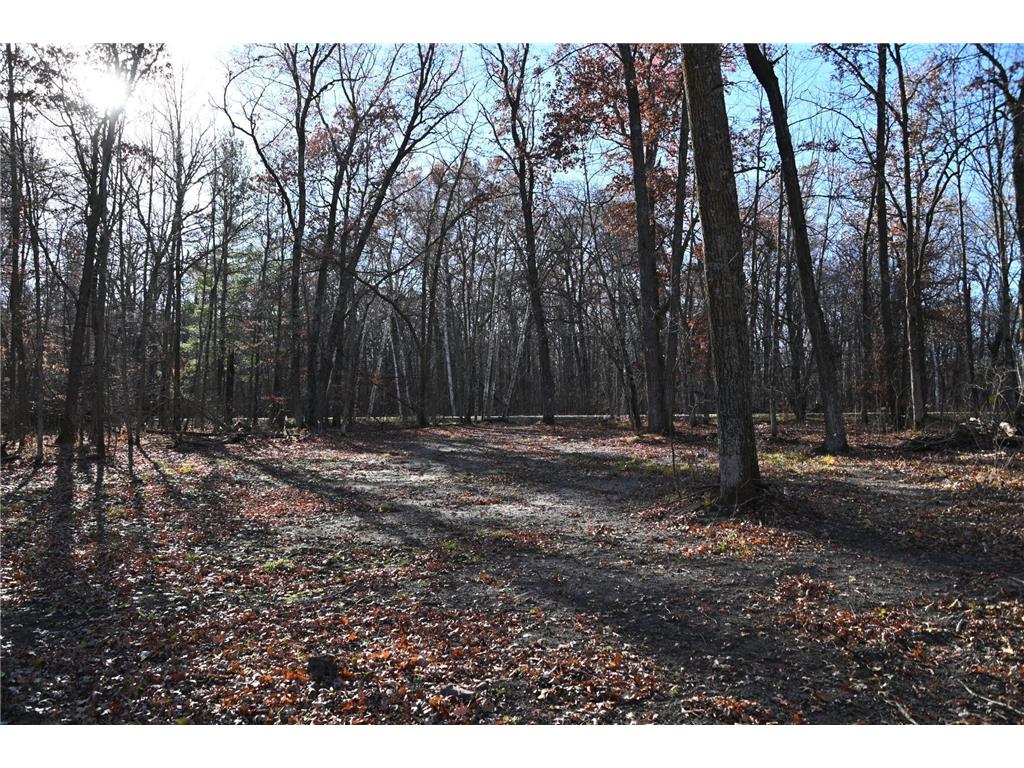 27537 Ode Circle Browerville MN 56438 - Pine Island 7034503 image4