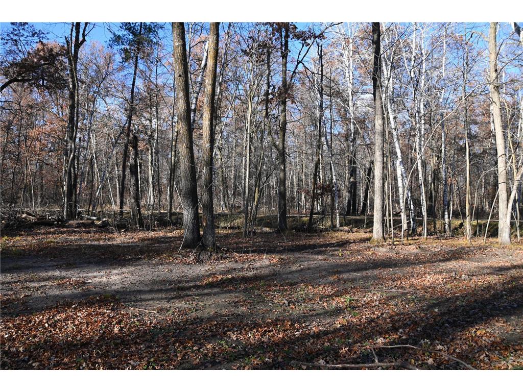 27537 Ode Circle Browerville MN 56438 - Pine Island 7034503 image6