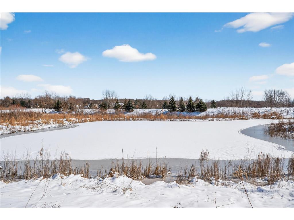 2755 Meadow Brook Drive #F Woodbury MN 55125 7026167 image3
