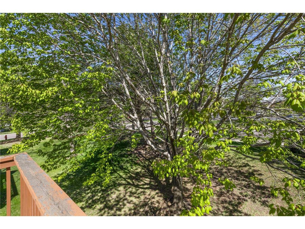 2756 Cutters Grove Circle Anoka MN 55303 7070344 image34