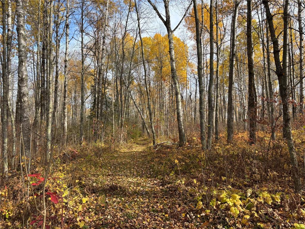 2757 Erickson Road Kettle River MN 55757 6810124 image16