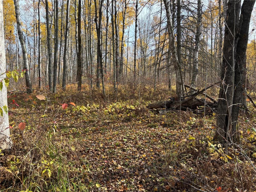 2757 Erickson Road Kettle River MN 55757 6810124 image17