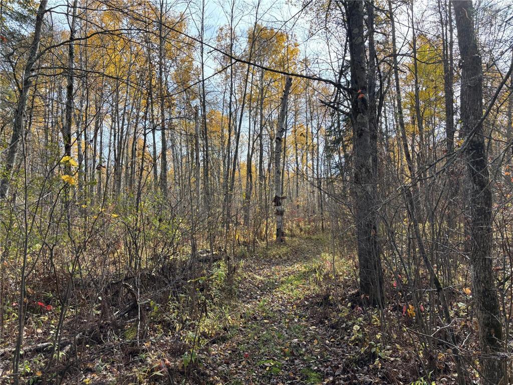 2757 Erickson Road Kettle River MN 55757 6810124 image19