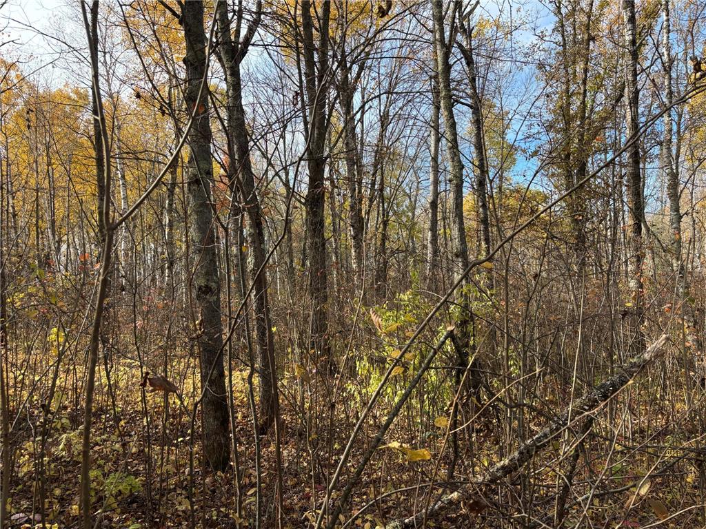 2757 Erickson Road Kettle River MN 55757 6810124 image20