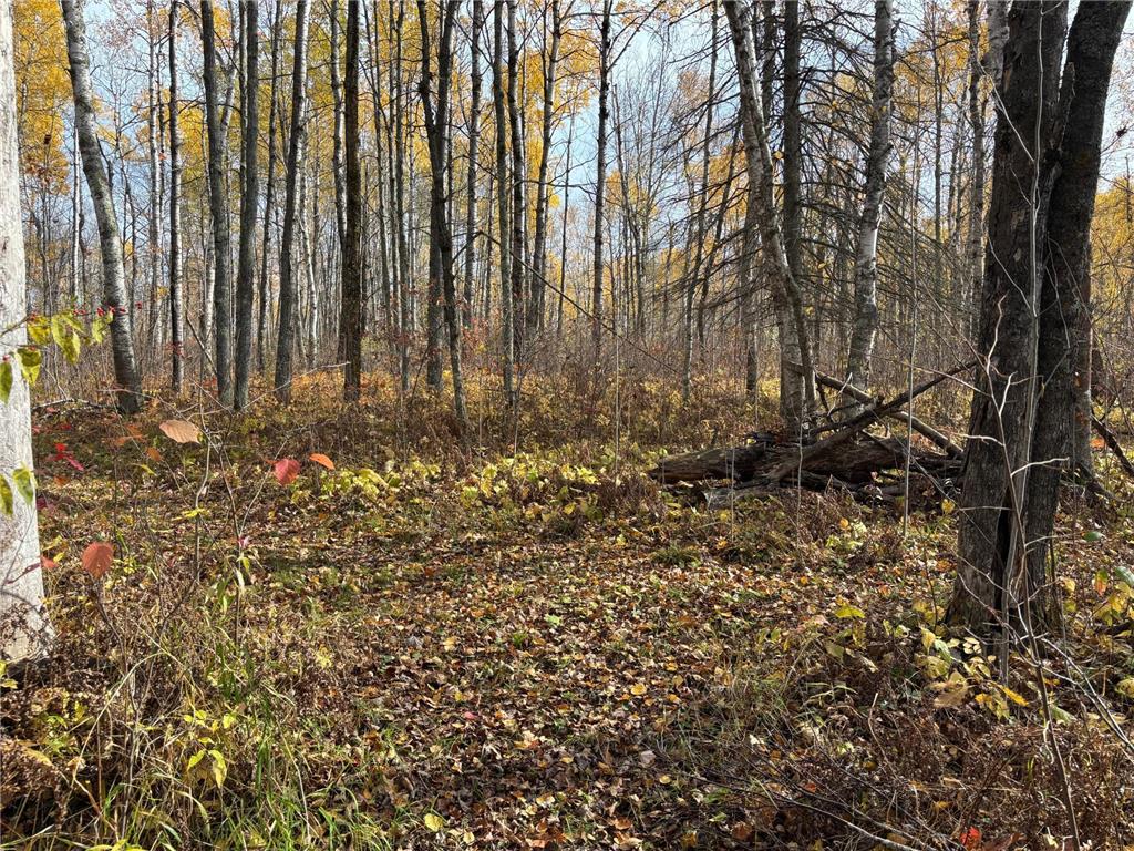 2757 Erickson Road Kettle River MN 55757 7028347 image16