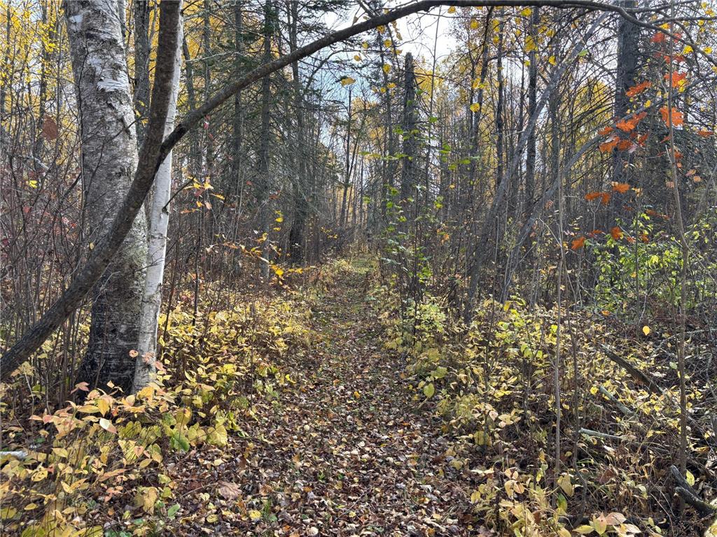 2757 Erickson Road Kettle River MN 55757 7028347 image17