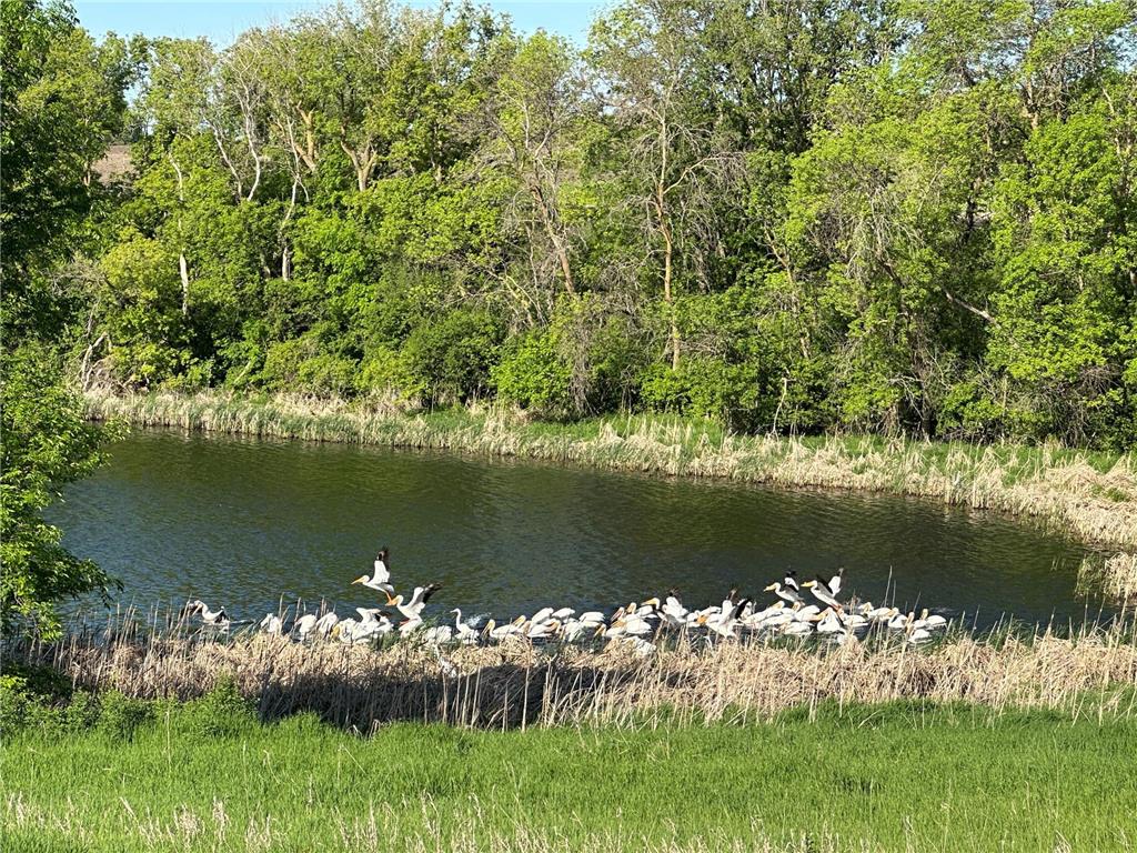 27588 226th Street Underwood MN 56586 - Bass Lake 7046093 image54
