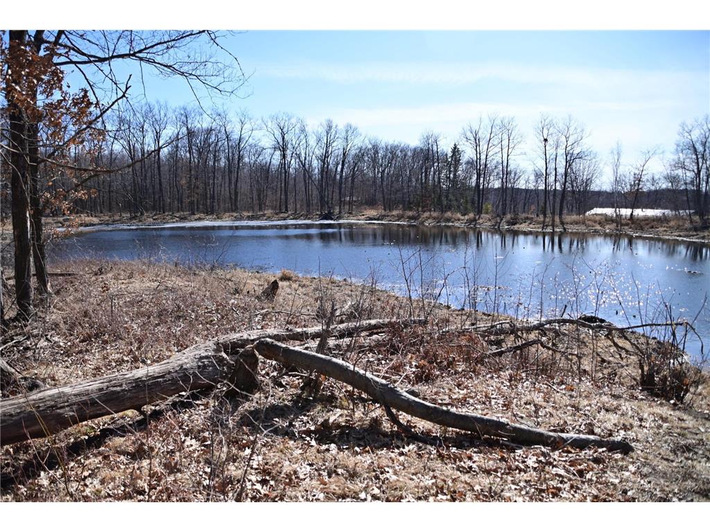 27589 Norway Trail Cushing Twp MN 56475 6503142 image1