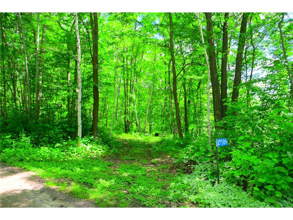 27589 Norway Trail Cushing Twp MN 56475 6747629 image1