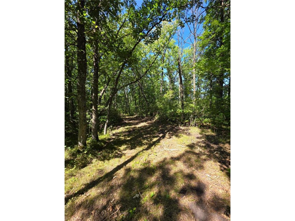 2759 State Highway Oakland Twp MN 56589 - McCraney Lake 7036478 image10