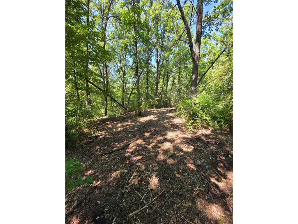 2759 State Highway Oakland Twp MN 56589 - McCraney Lake 7036478 image11