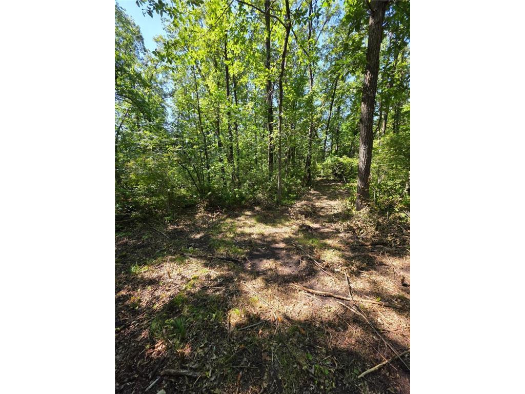 2759 State Highway Oakland Twp MN 56589 - McCraney Lake 7036478 image12