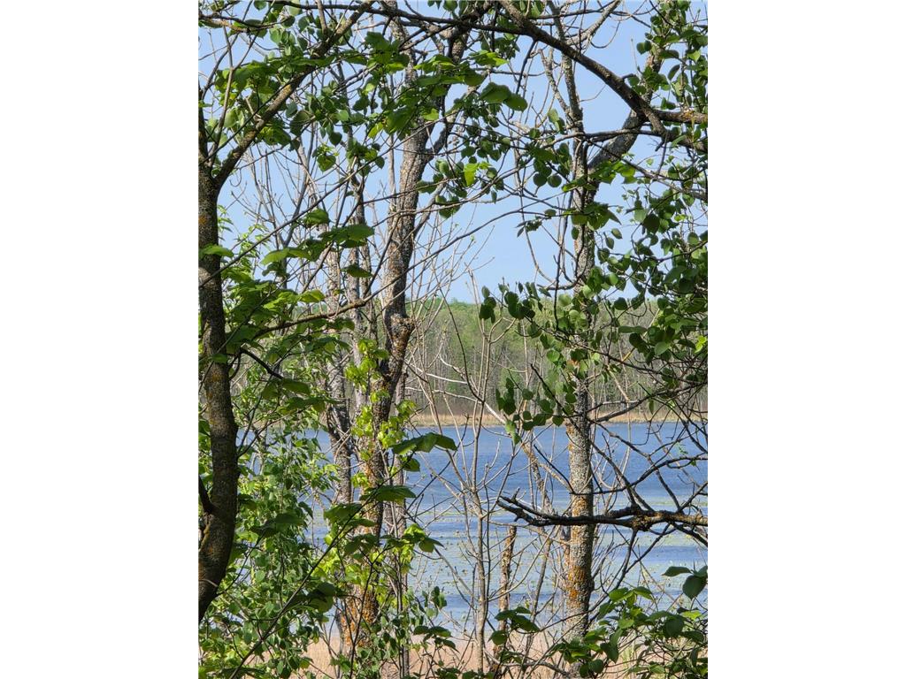 2759 State Highway Oakland Twp MN 56589 - McCraney Lake 7036478 image3