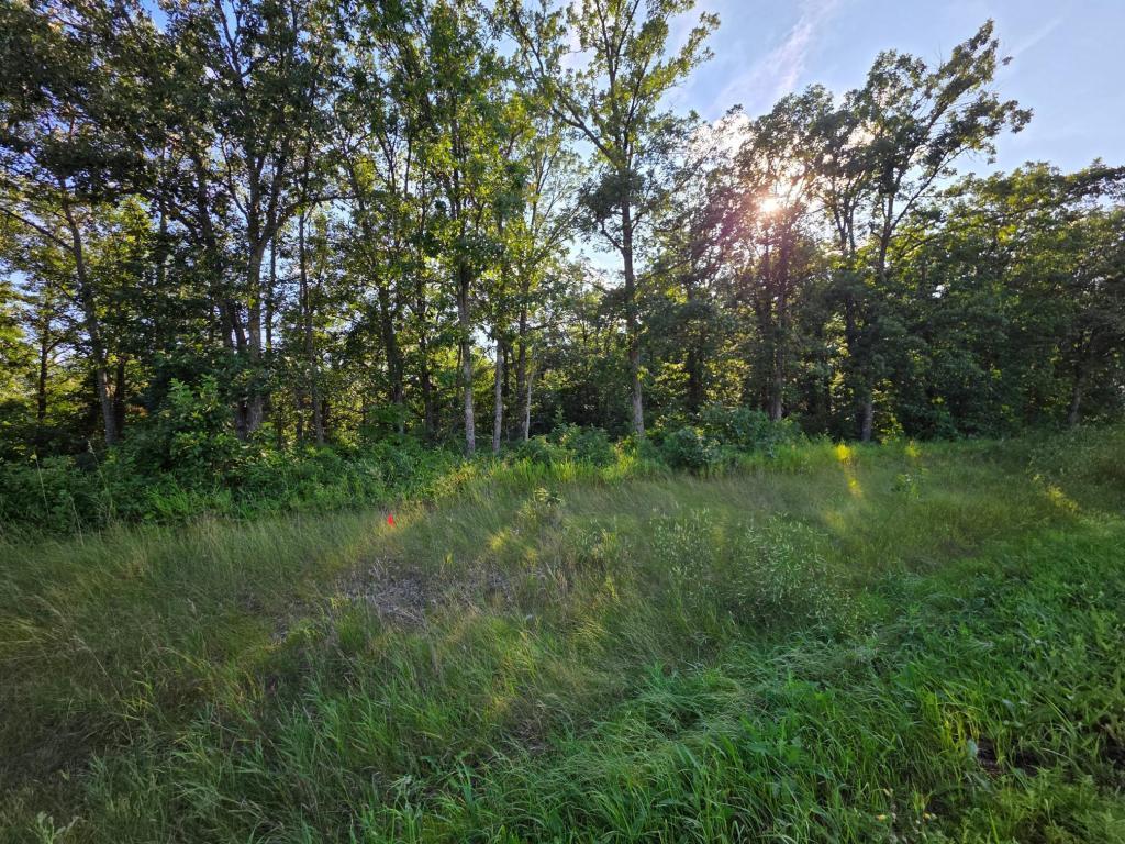 2759 State Highway Oakland Twp MN 56589 - McCraney Lake 7036478 image9