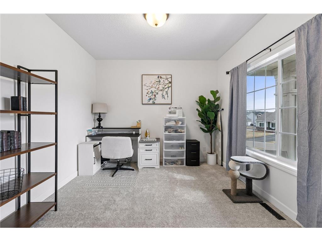 27614 Kaden Street Elko New Market MN 55020 7046047 image19