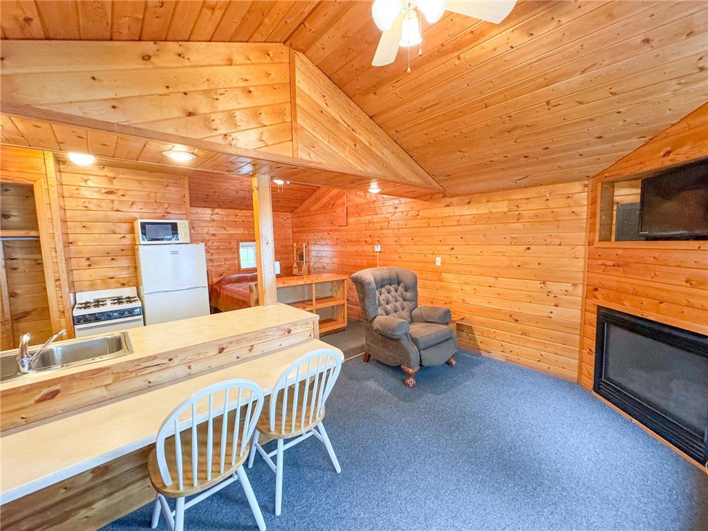 27621 Co Hwy 83 #2 Battle Lake MN 56515 - Deer Lake 6721973 image6