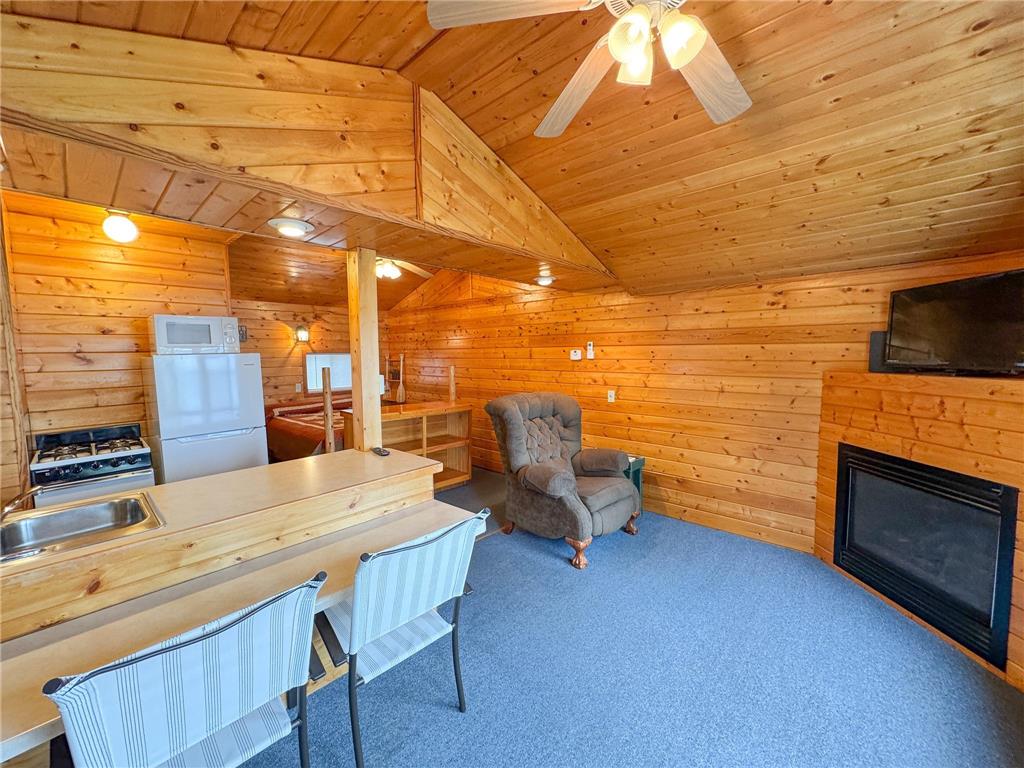 27621 Co Hwy 83 #1 Battle Lake MN 56515 - Deer Lake 7034922 image6