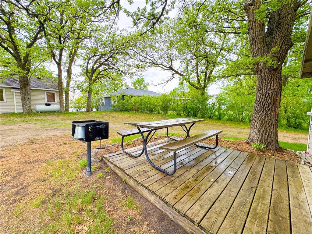 27621 Co Hwy 83 #5 Battle Lake MN 56515 - Deer Lake 7034972 image13