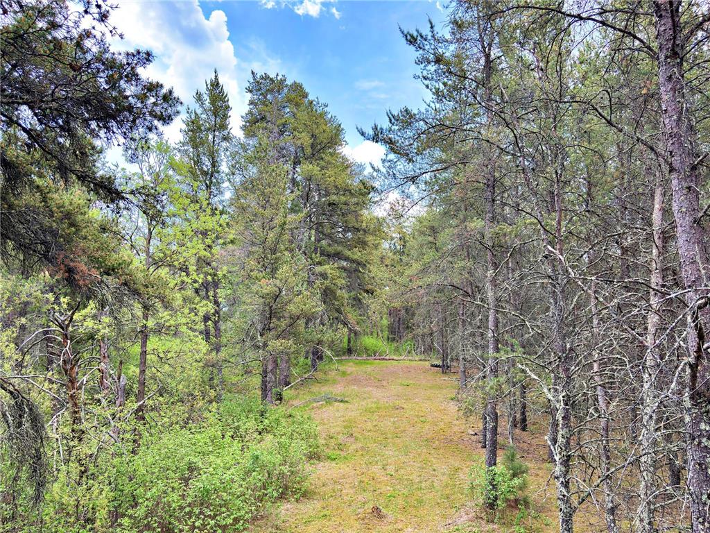 27622 County 119 Nevis MN 56467 7095276 image50