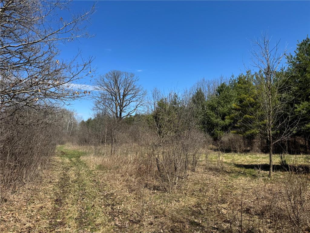 0000 110th Avenue Springfield Twp WI 54013 7057784 image16