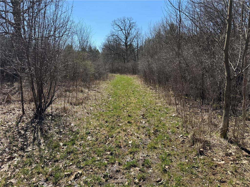 0000 110th Avenue Springfield Twp WI 54013 7057784 image21