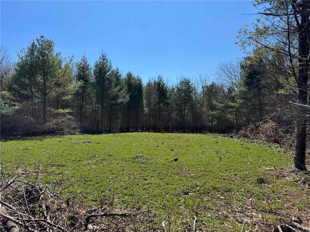 0000 110th Avenue Springfield Twp WI 54013 7057784 image24