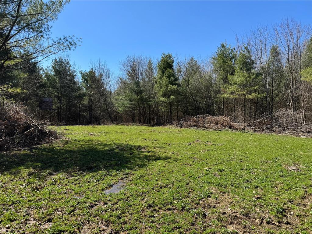 0000 110th Avenue Springfield Twp WI 54013 7057784 image25