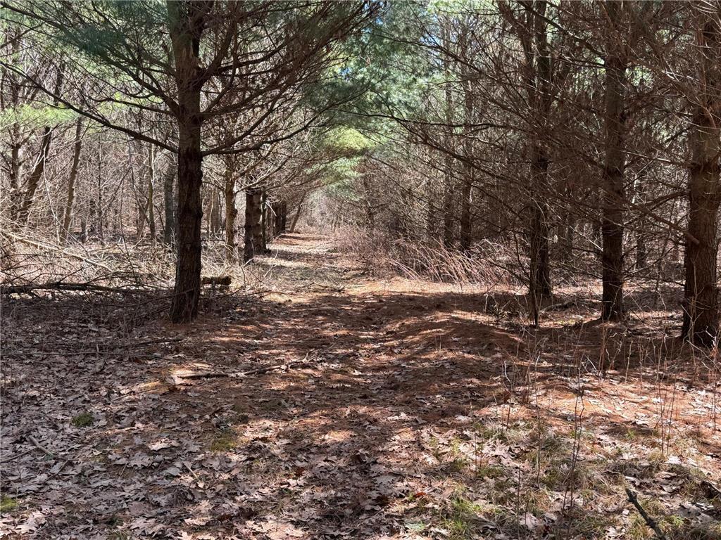 0000 110th Avenue Springfield Twp WI 54013 7057784 image30