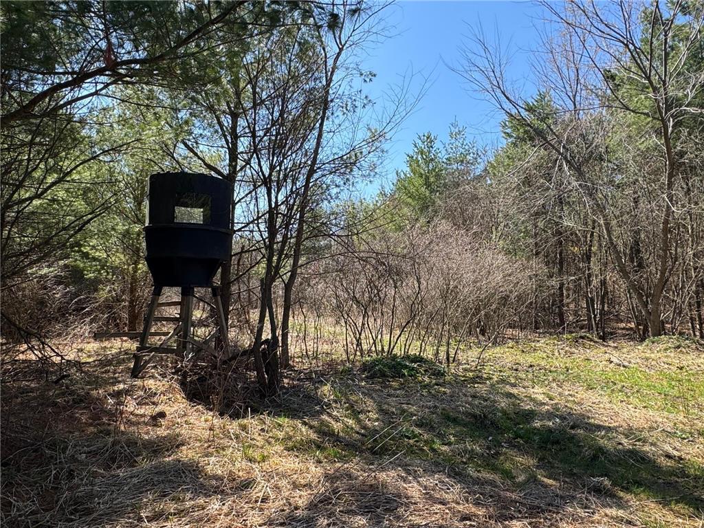 0000 110th Avenue Springfield Twp WI 54013 7057784 image32