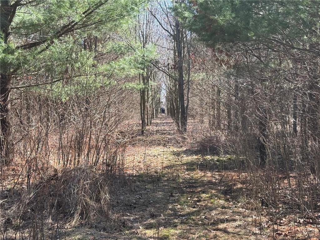 0000 110th Avenue Springfield Twp WI 54013 7057784 image33