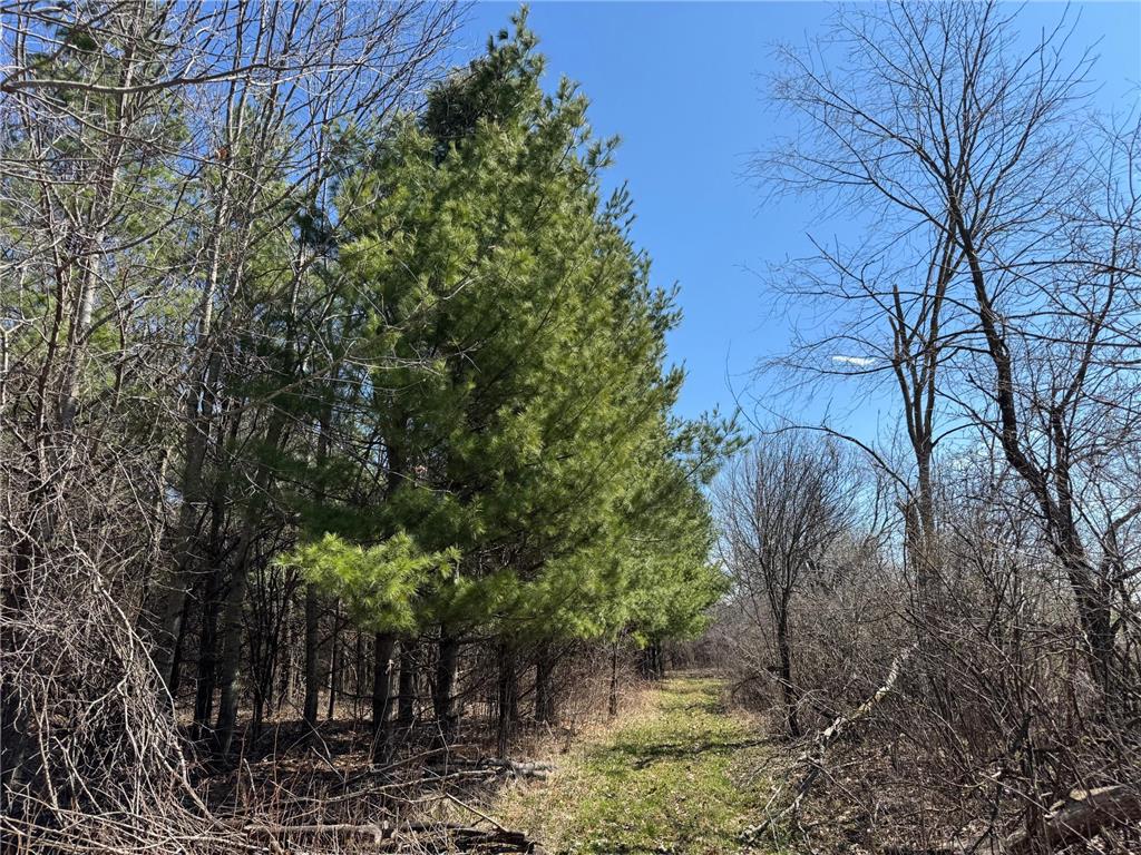 0000 110th Avenue Springfield Twp WI 54013 7057784 image36