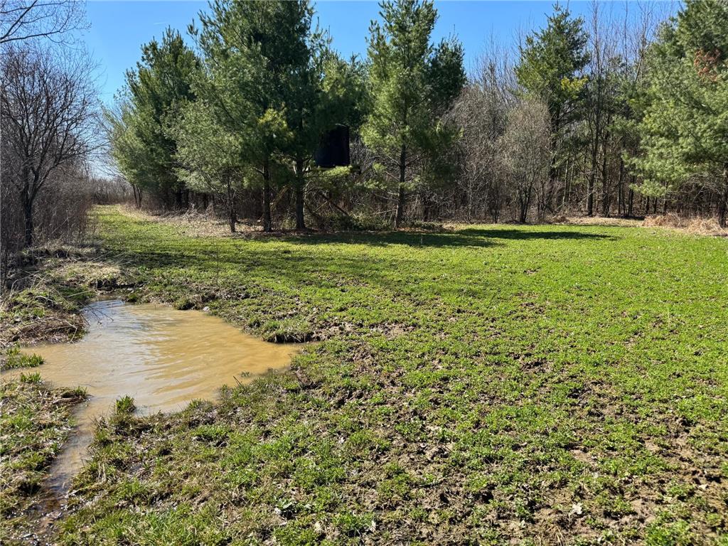0000 110th Avenue Springfield Twp WI 54013 7057784 image38