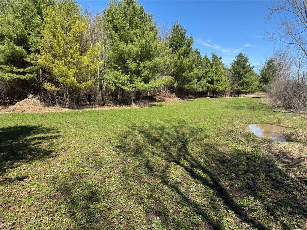 0000 110th Avenue Springfield Twp WI 54013 7057784 image39