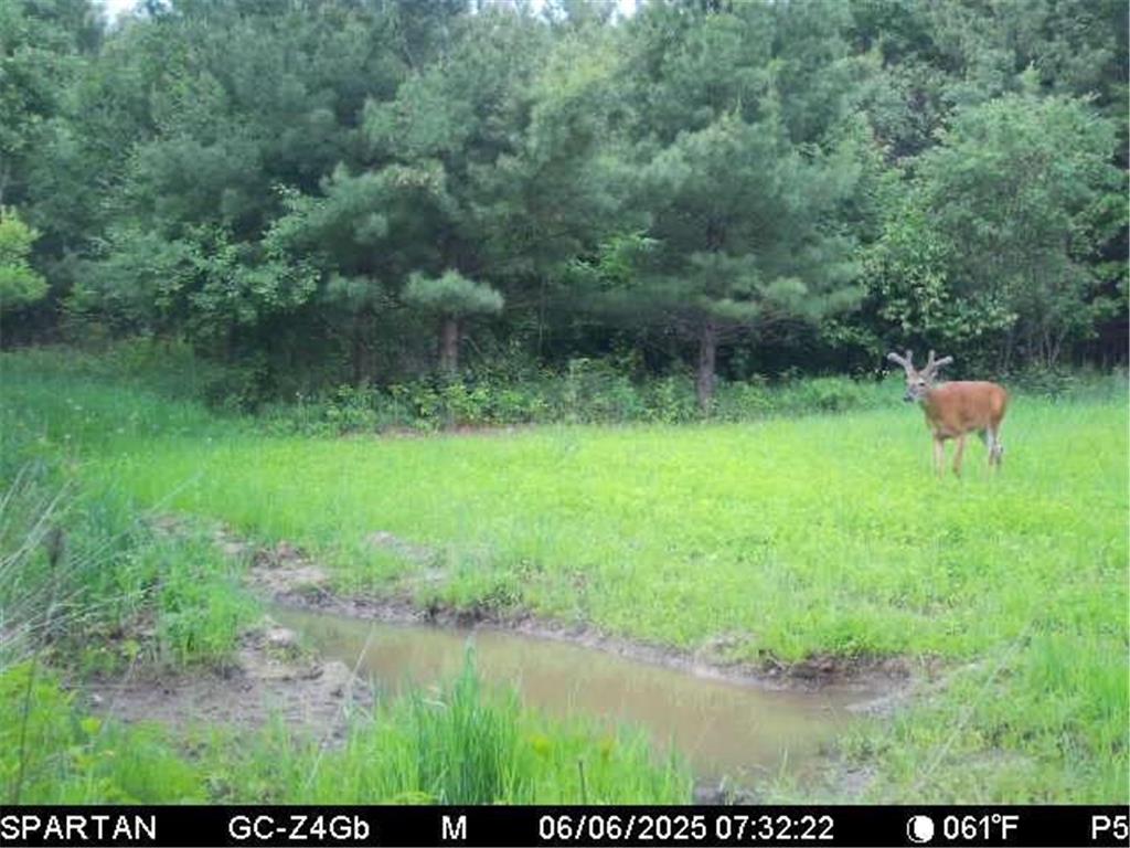 0000 110th Avenue Springfield Twp WI 54013 7057784 image73