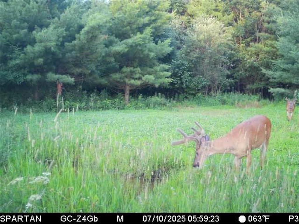 0000 110th Avenue Springfield Twp WI 54013 7057784 image75
