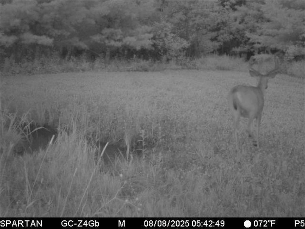 0000 110th Avenue Springfield Twp WI 54013 7057784 image78
