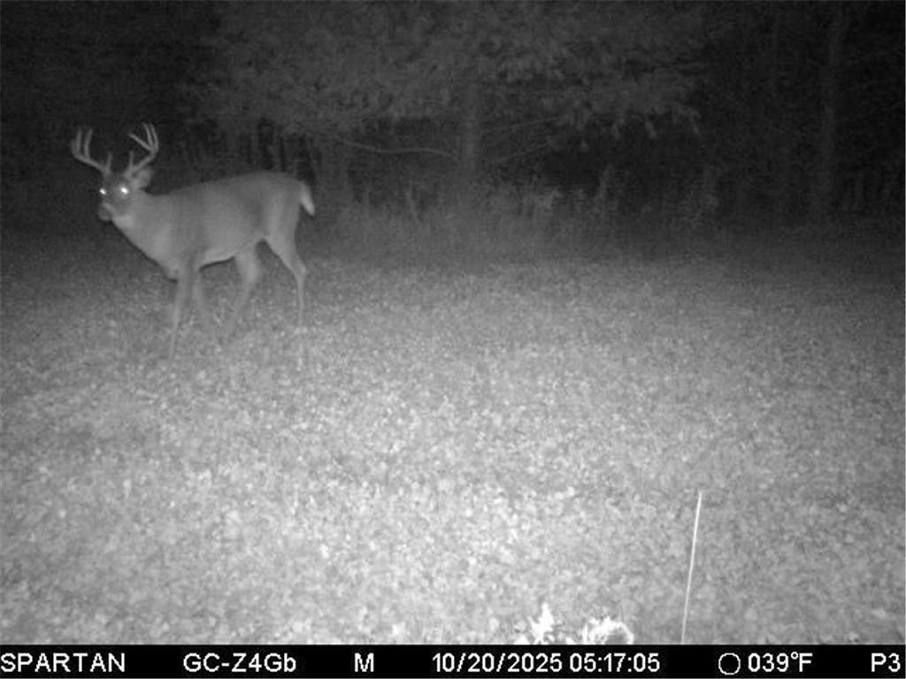 0000 110th Avenue Springfield Twp WI 54013 7057784 image83