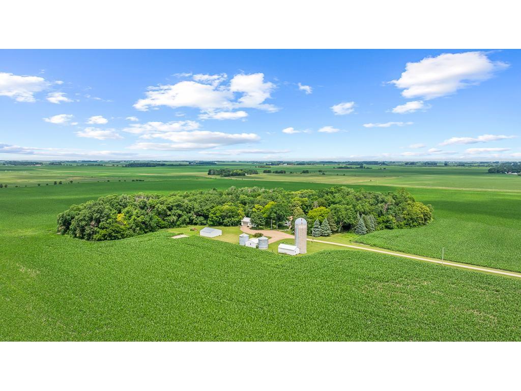 2765 390th Street Tyro Twp MN 56218 7100123 image2