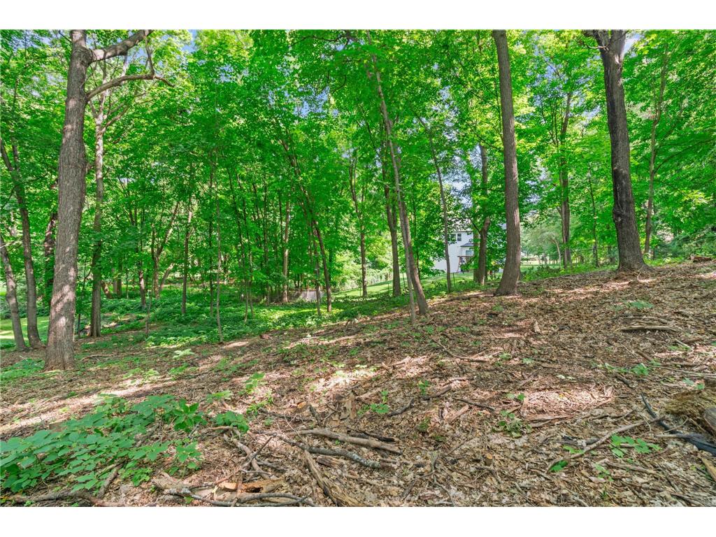 27665 Island View Road Shorewood MN 55331 - Lake Minnetonka 7087450 image109