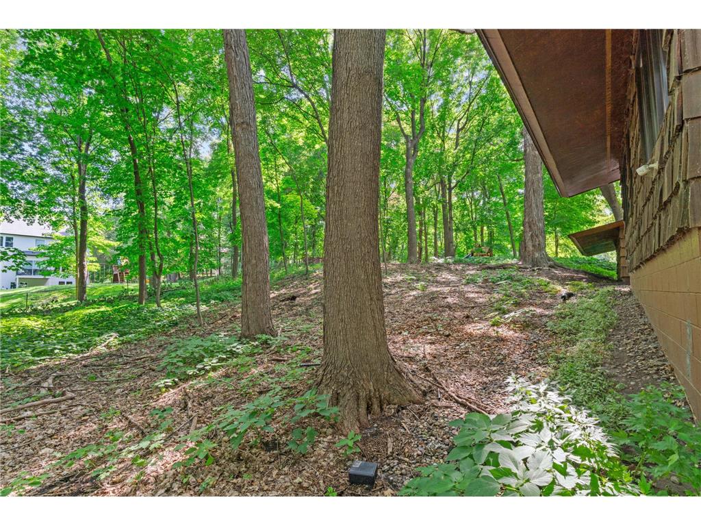 27665 Island View Road Shorewood MN 55331 - Lake Minnetonka 7087450 image110