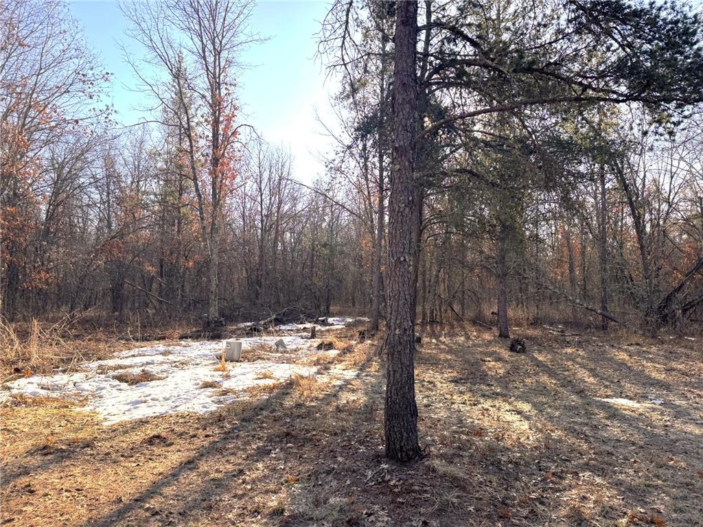 27672 Norway Point Road Grantsburg WI 54840 7036641 image4