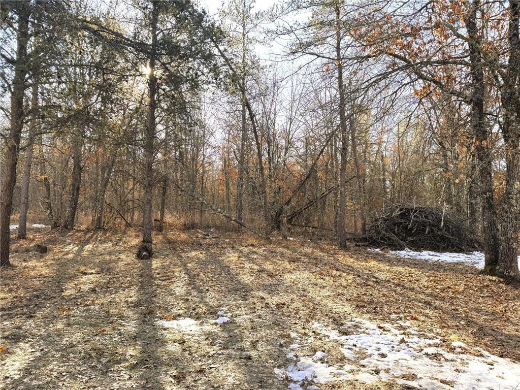 27672 Norway Point Road Grantsburg WI 54840 7036641 image7