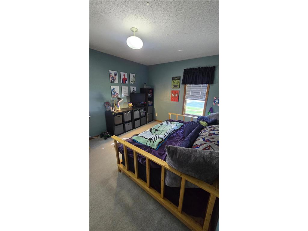 277 3rd Street SW Blooming Prairie MN 55917 6788353 image31