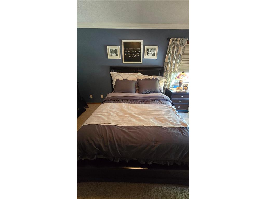 277 3rd Street SW Blooming Prairie MN 55917 6788353 image35