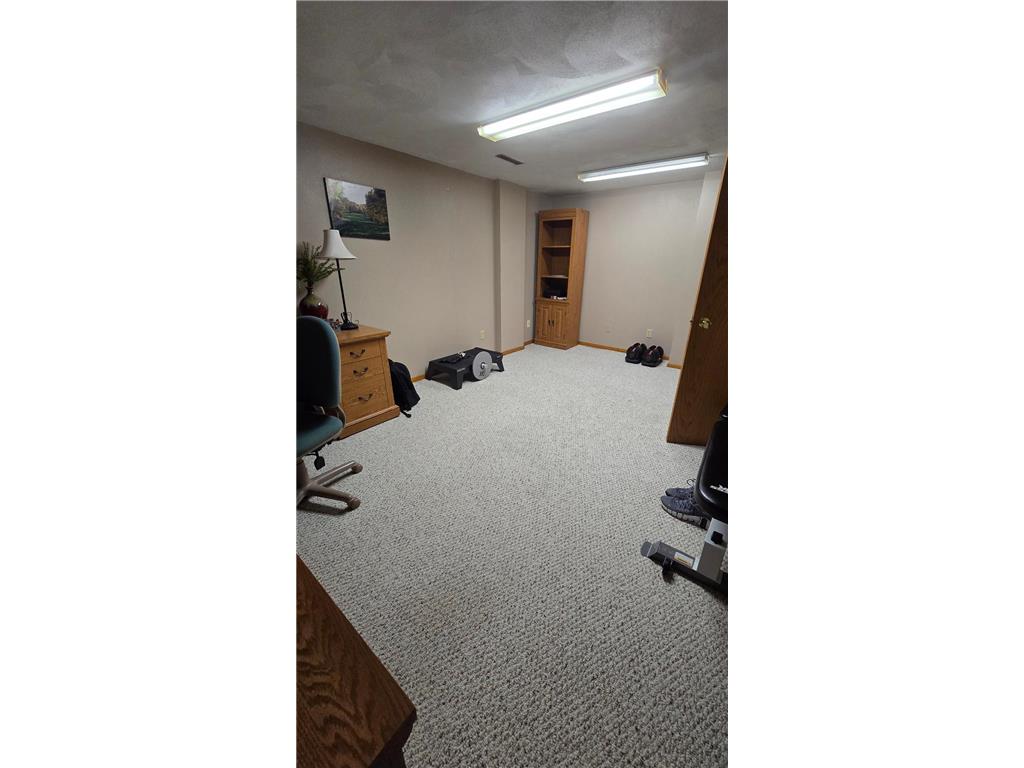 277 3rd Street SW Blooming Prairie MN 55917 6788353 image48